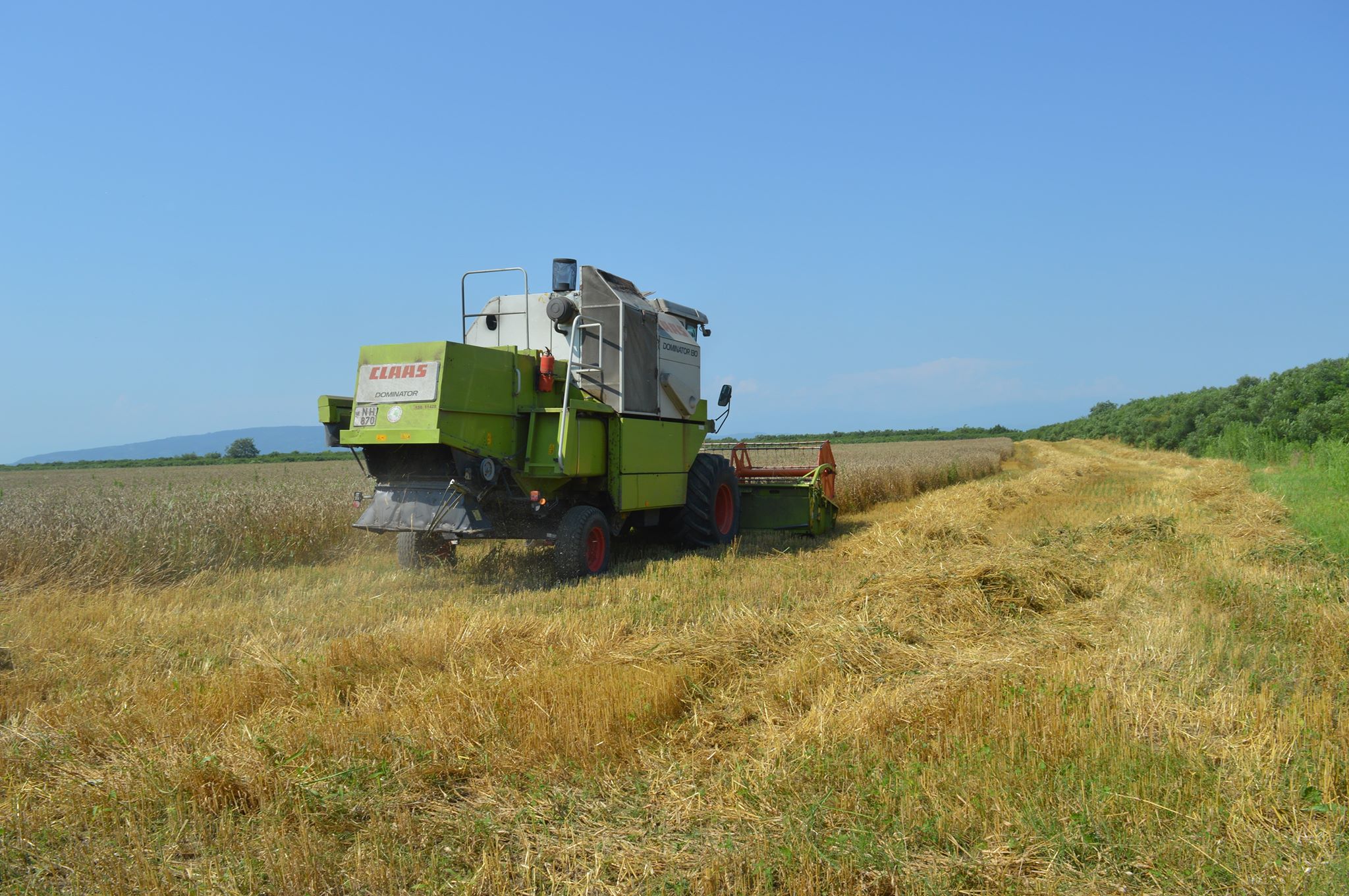 agro 4