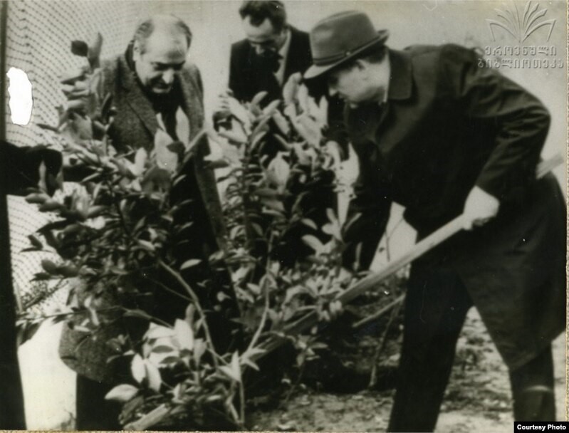 agro 1
