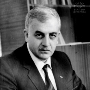 zviadi